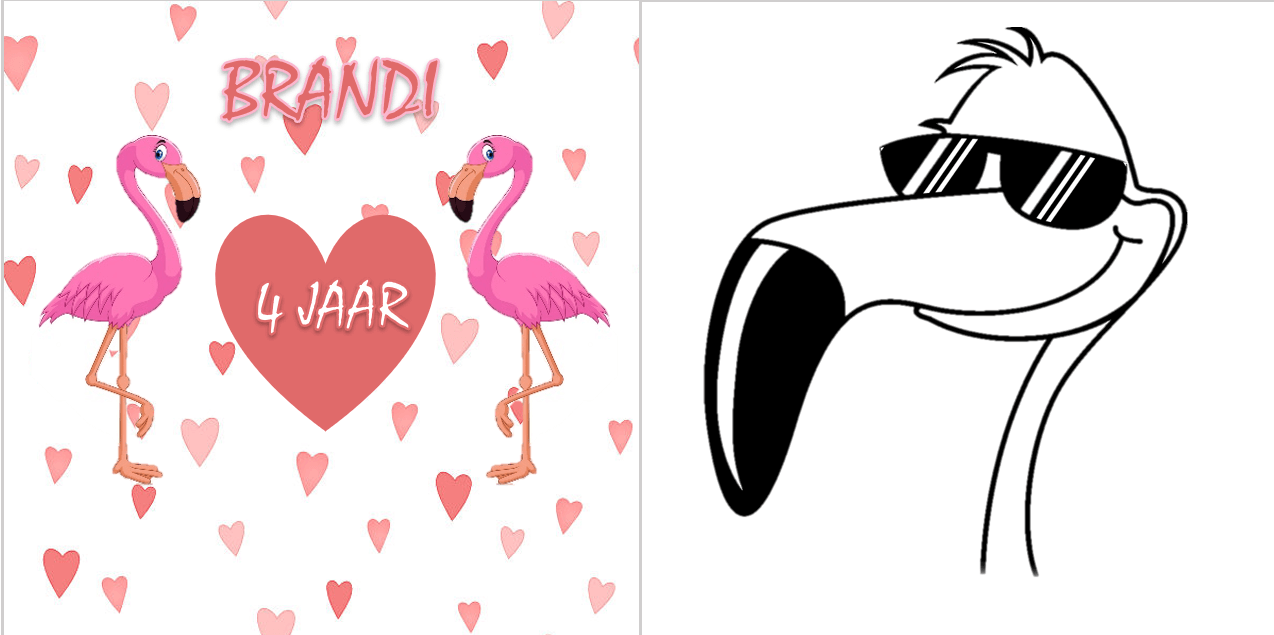 Kleurboekje populaire thema's