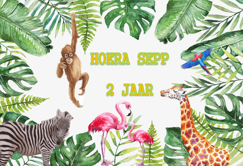 Bellenblaas populaire thema's