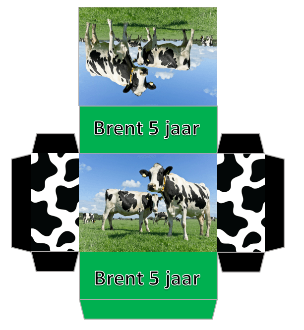 Rozijntjes met wikkel populaire thema's