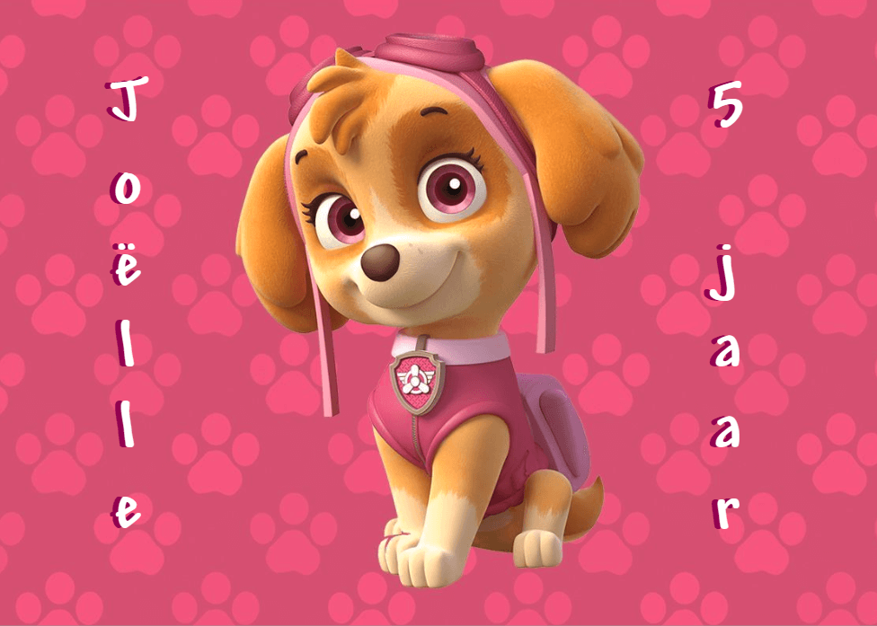 Koffertje populaire thema's