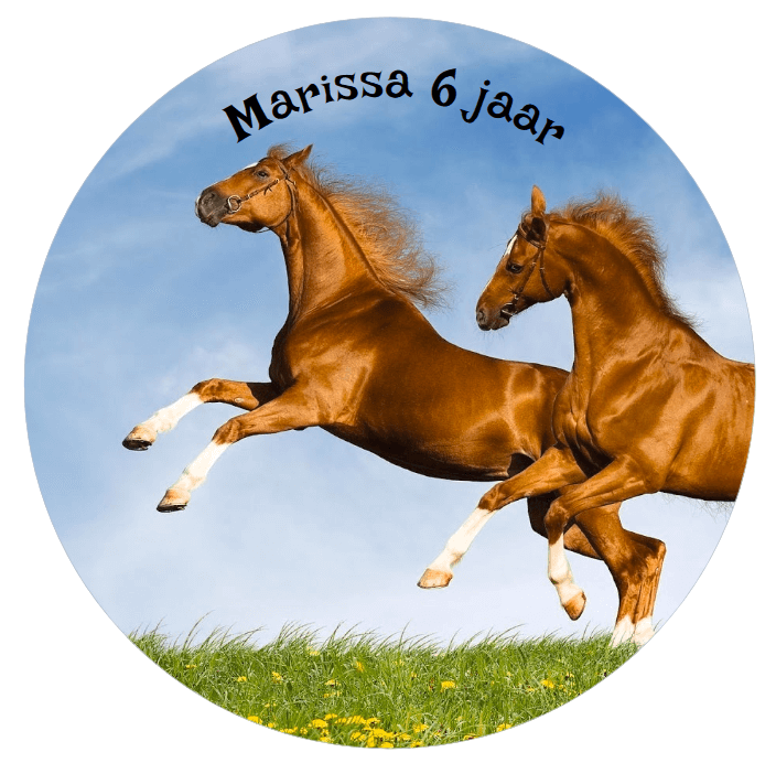 Puntzak populaire thema's