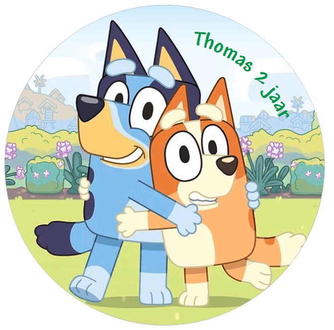 Puntzak populaire thema's