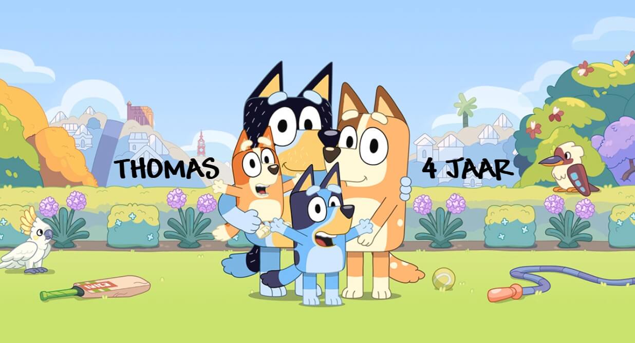 Suikerspin emmertjes populaire thema's