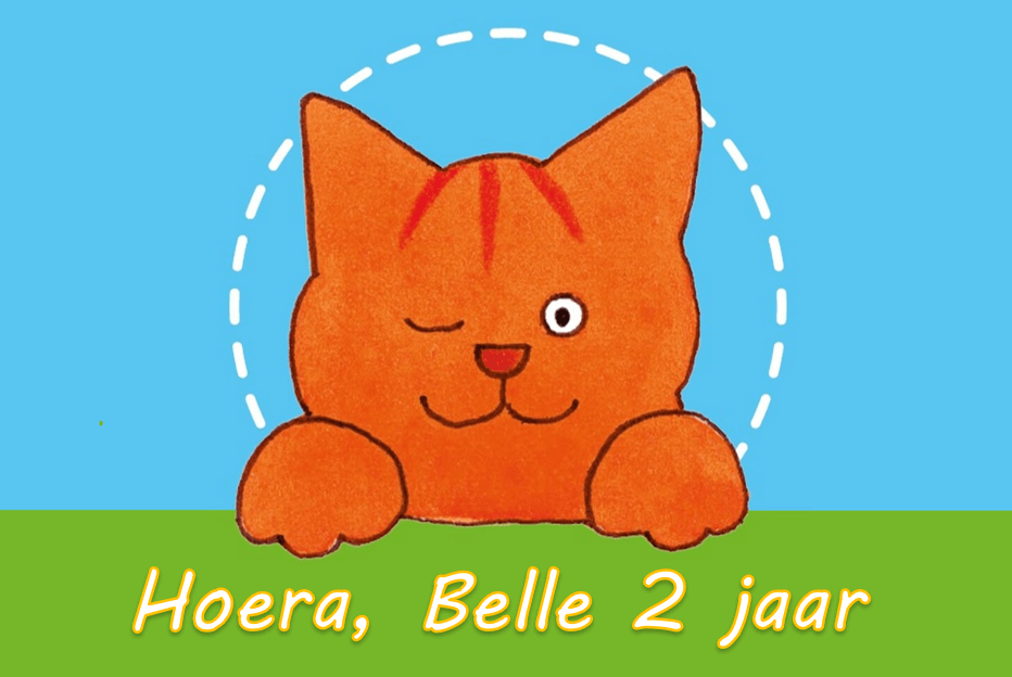 Bellenblaas populaire thema's