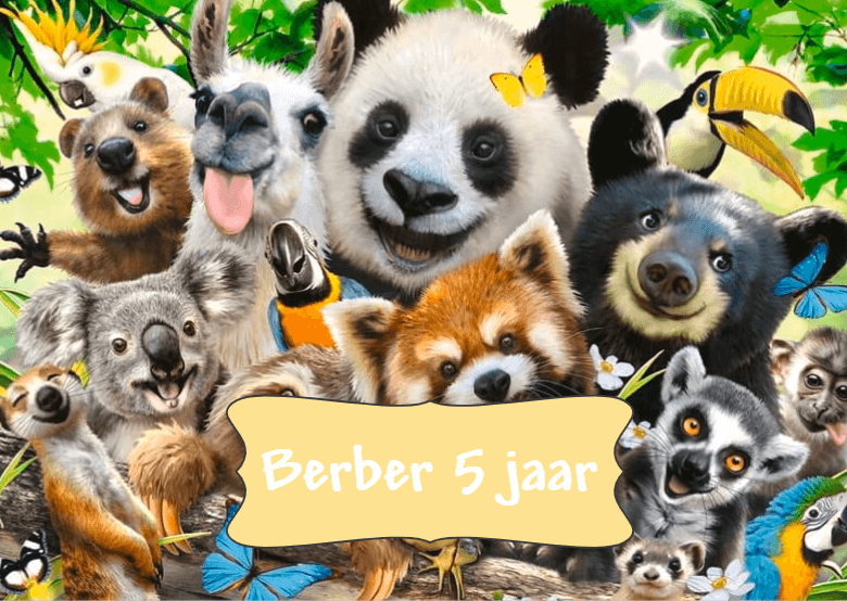 Koffertje populaire thema's