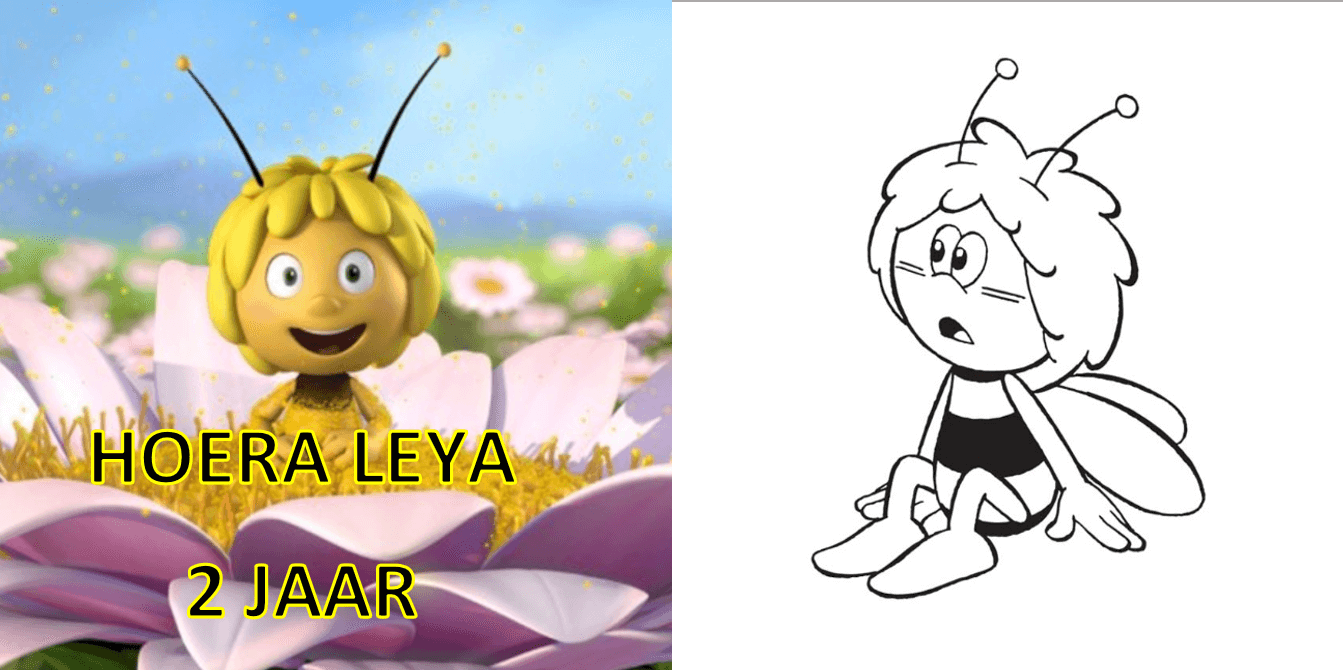 Kleurboekje populaire thema's