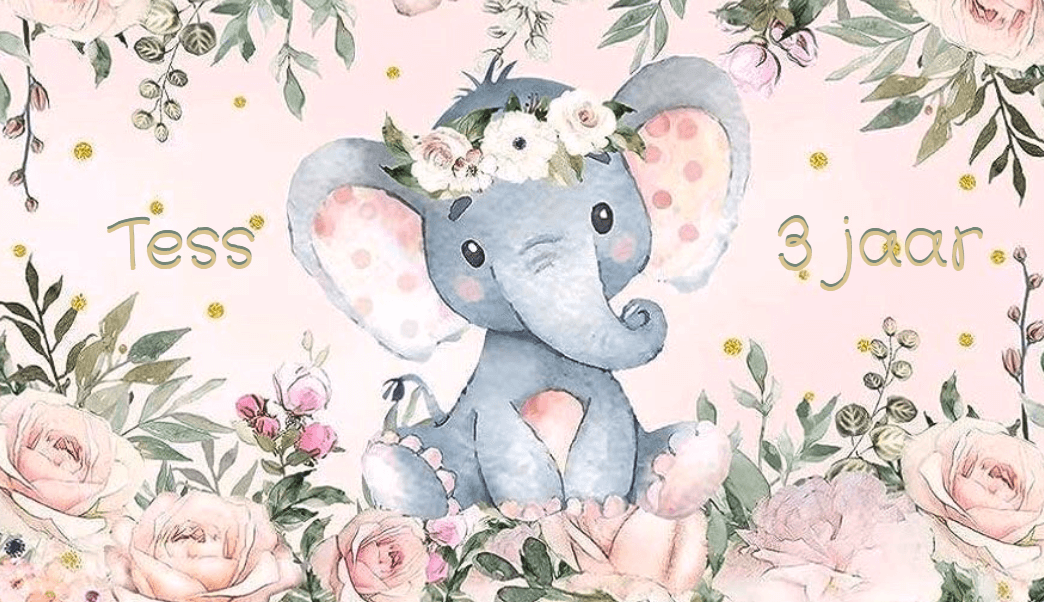 Suikerspin emmertjes populaire thema's