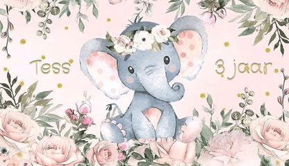 Suikerspin emmertjes populaire thema's