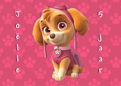 Koffertje populaire thema's