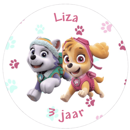 Puntzak populaire thema's