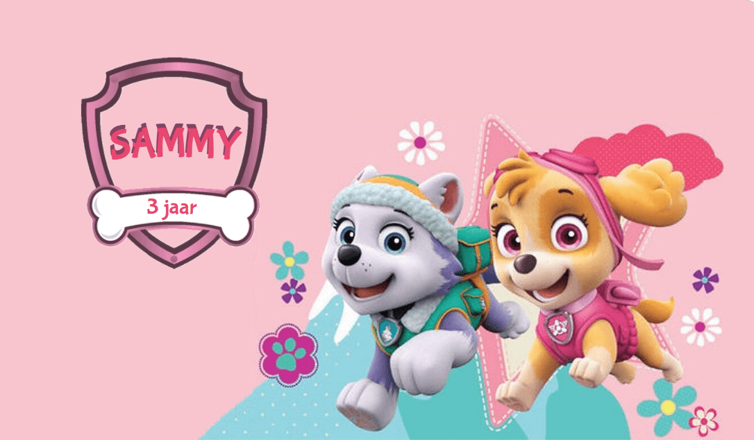 Suikerspin emmertjes populaire thema's