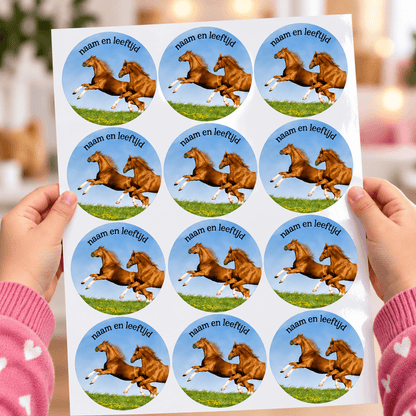 Stickervel populaire thema's
